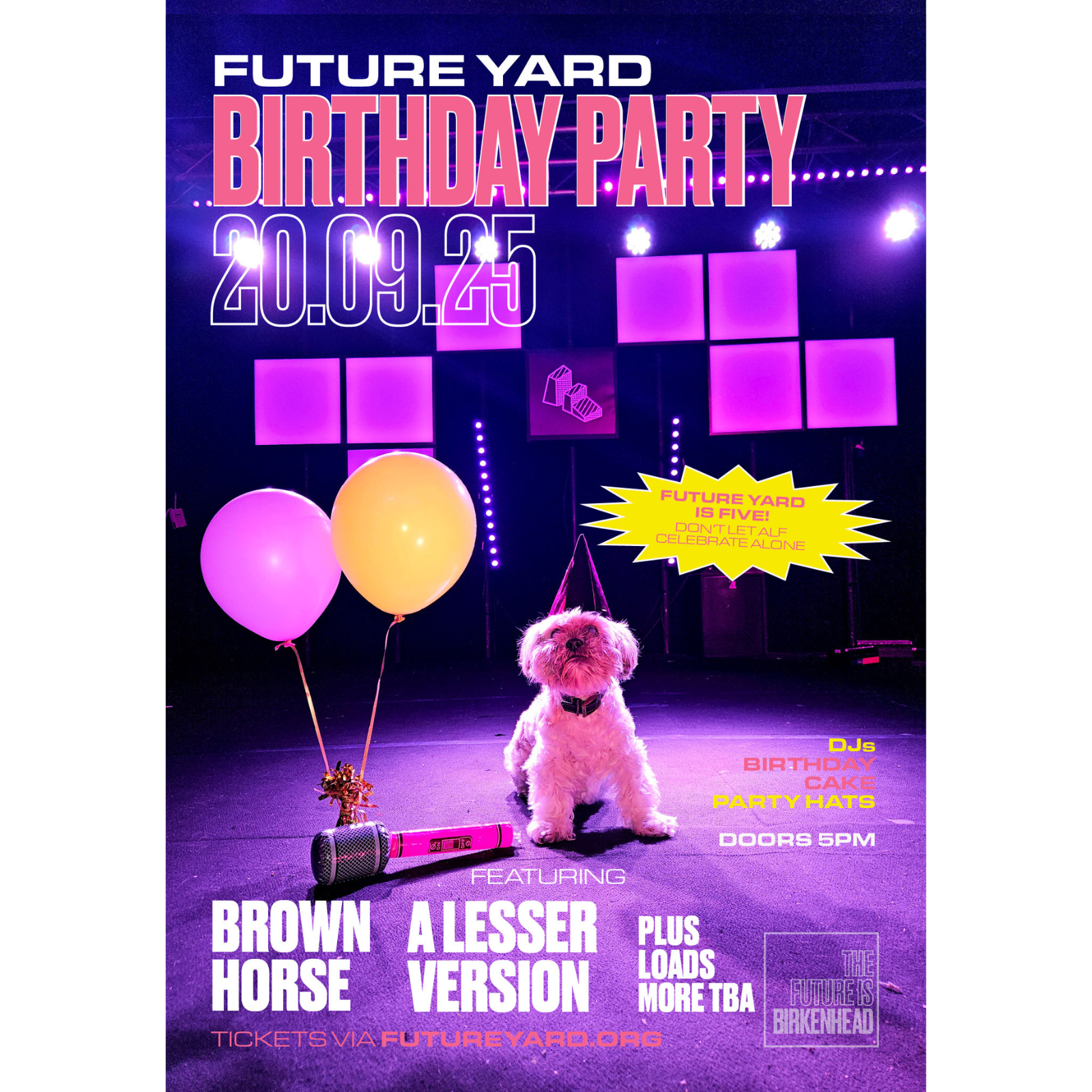 FY BIRTHDAY PARTY W/ BROWN HORSE
